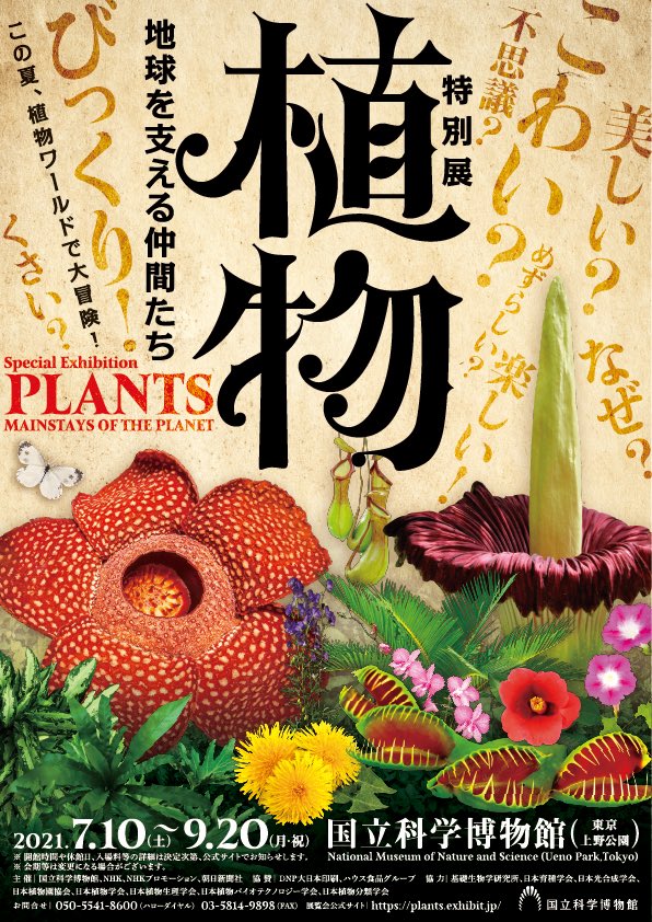 Prof. Mimura Tetsuro: the producer of the "Special Exhibition of Plants" at the NSM of Japan(Open new window)