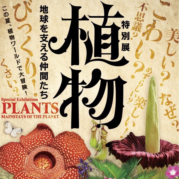 本校三村徹郎老師受邀擔任日本國立科學博物館「植物特展」監製(另開新視窗)
